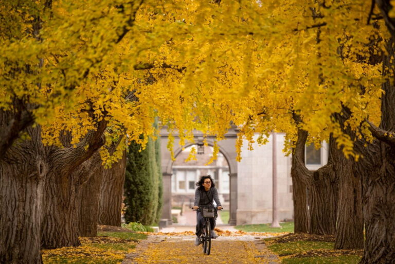 Danforth Campus Named Bicycle Friendly University at Gold Level 