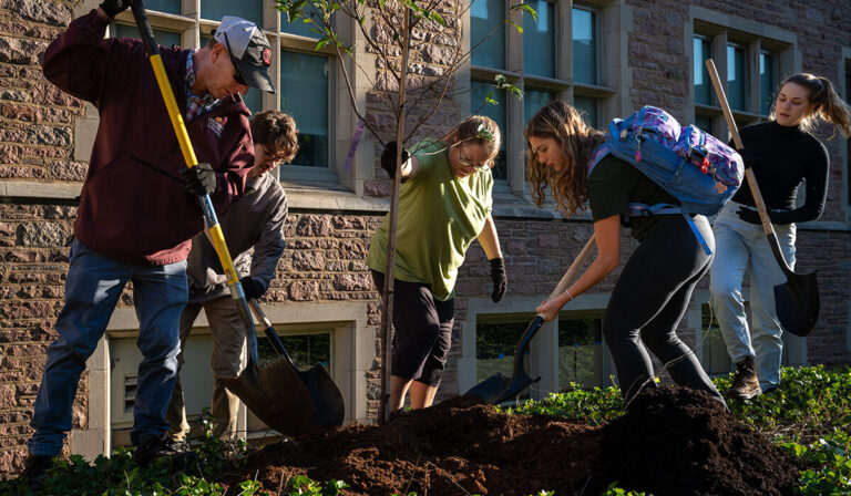 WashU Arboretum earns rare status