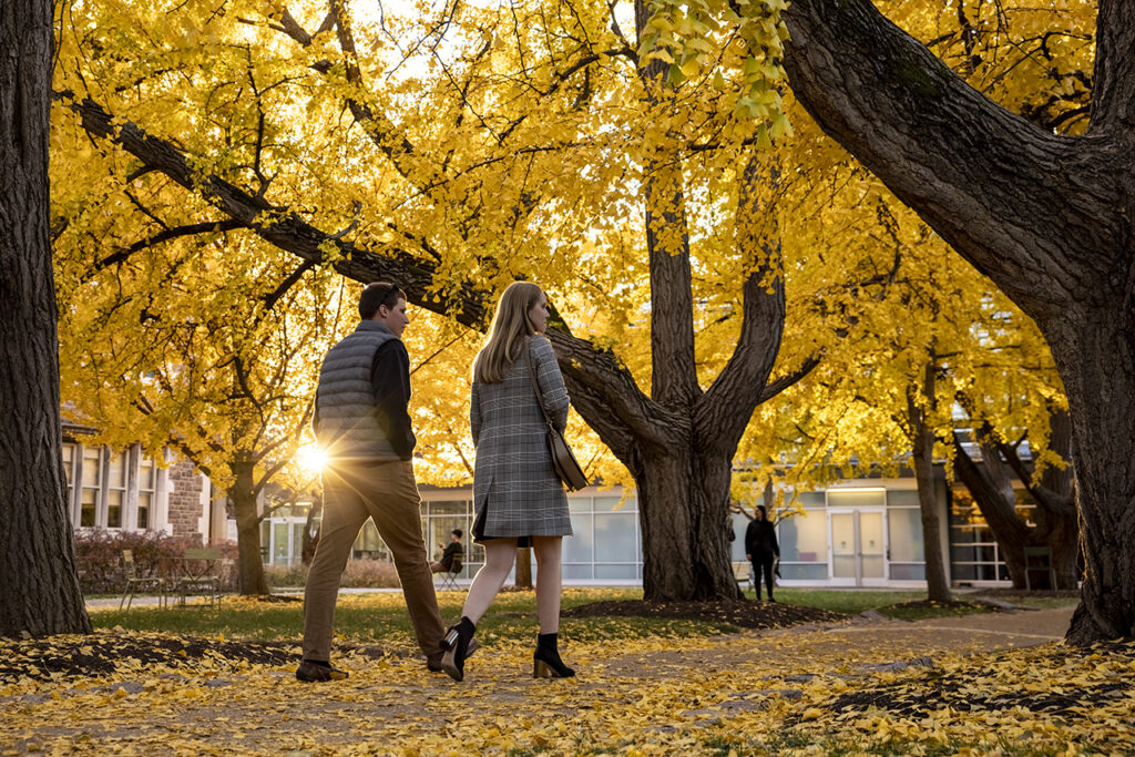 Fall campus scenery