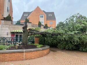 Danforth Campus suffers moderate damage in St. Louis storm