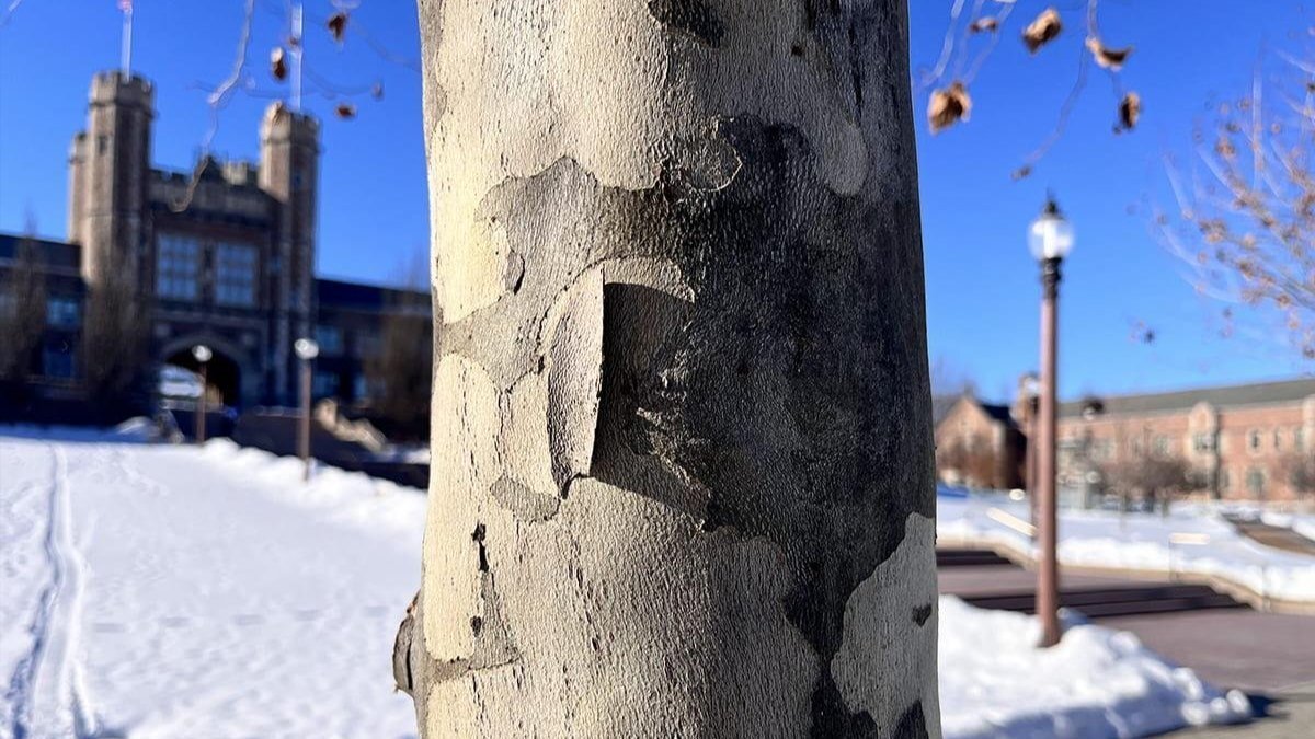 explore our arboretum, with multiple guided tours across our campus. 